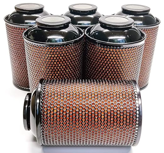 Gun Safe Dehumidifier, Moisture Absorbers, TOAAOT 200g Silica Gel Canister for Gun Case, Tool Box (6 Units)