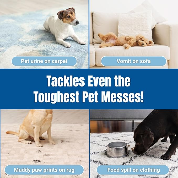 Carpet Cleaner and Deodorizer for Pets - Stain and Odor Treatment | Neutralizes Urine Stains and Eliminates Smell & Residue, Made in The USA - Biocelan Pet by Harvest and Home - 32 oz