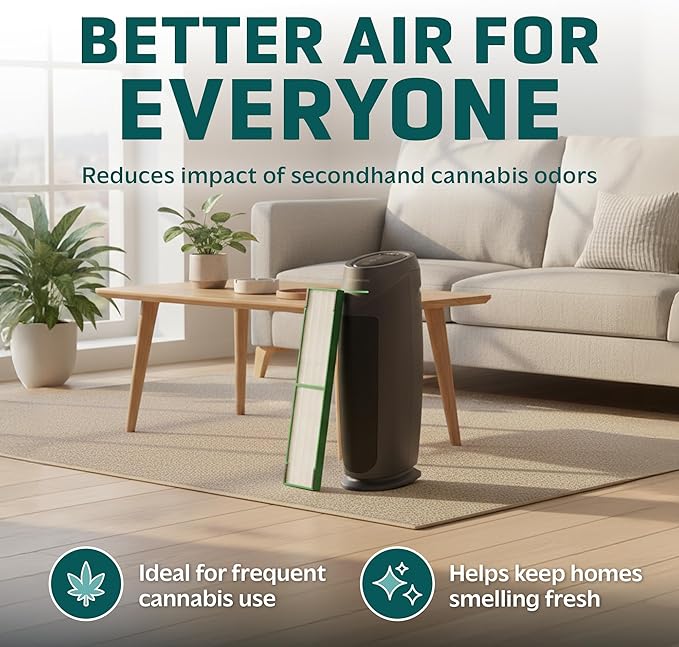 GermGuardian Cannabis Smoke Filter B, Genuine Air Purifier Replacement Filter, Designed to Capture Cannabis Smoke, Odors & Gases, fits AC4825, AC4300, AC4880 models, FLT420B