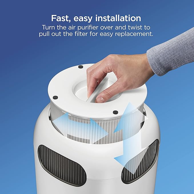 Clorox Tabletop Air Purifier True HEPA Replacement Filter, 200 Sq. Ft. Capacity, Removes 99.97% of Allergens up to 0.1 Micron, Compatible with 11020 & 11021, 1 Count (12020)
