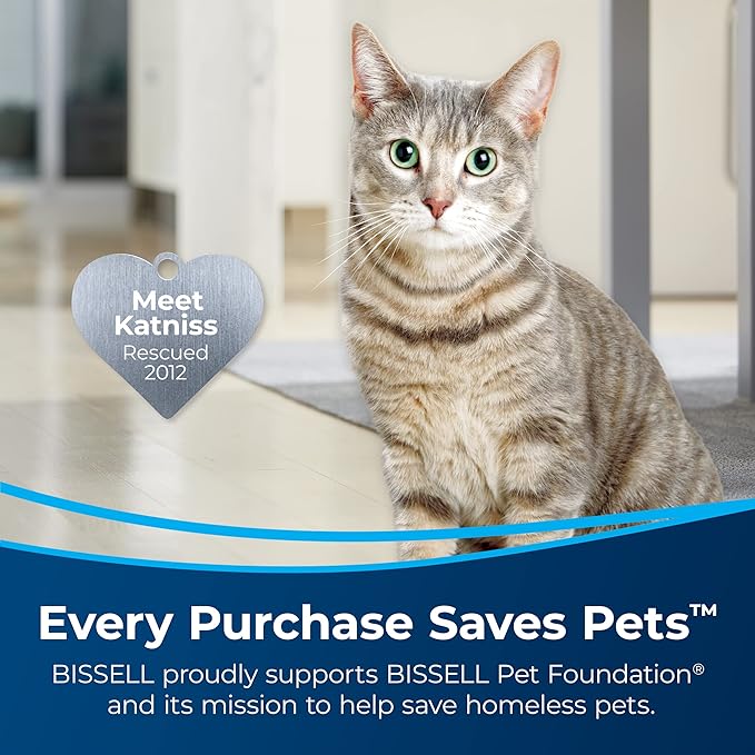Bissell Pet Stain & Odor plus Antibacterial 2 in 1 Carpet Formula