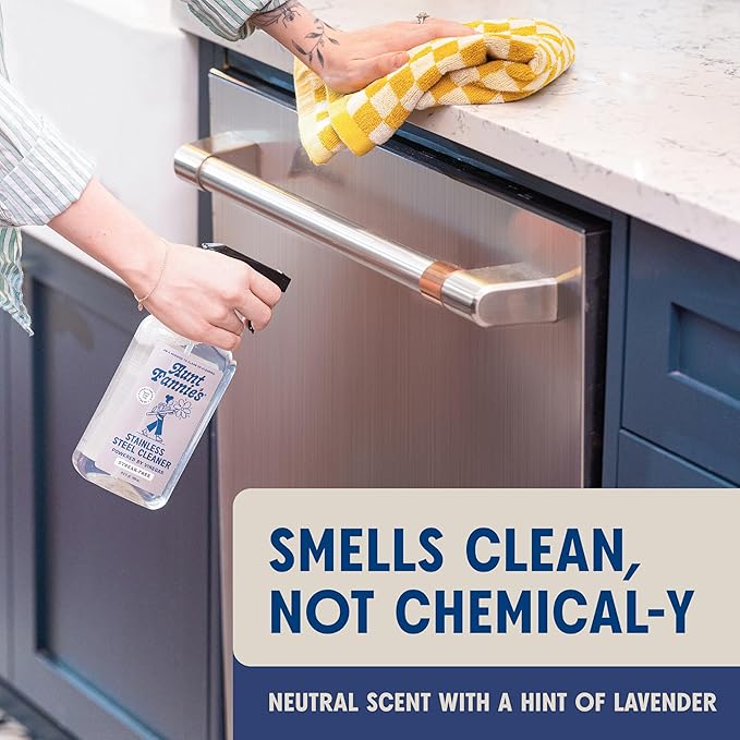 Aunt Fannie's Stainless Steel Spray Cleaner, Powered by Vinegar, Fingerprint and Residue Remover for Refrigerator, Dishwasher, Oven, Grill, Sink, Stovetop, and Other Appliances, Pack of 1