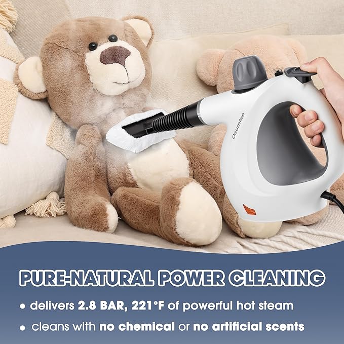 Pressurized Handheld Steam Cleaner with 14 pcs Accessories 15.2OZ Multi-Purpose Portable Steamer for Cleaning, Multi-Surface Steamer for Home, Floor, Grout