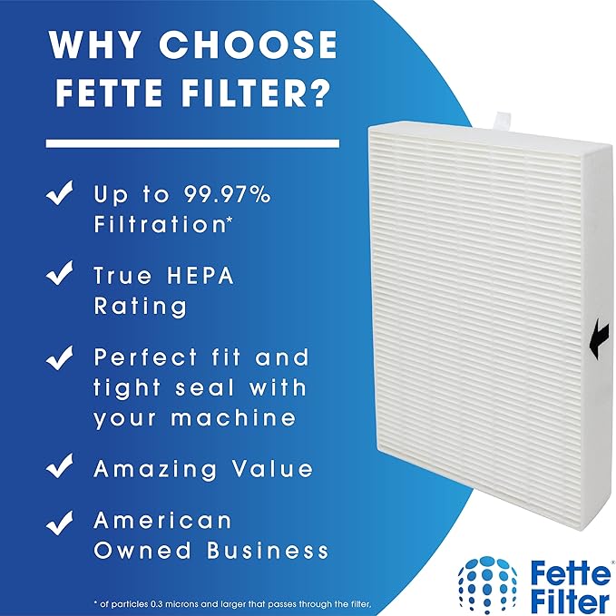 Fette Filter Air Purifier Filters. Compatible with HRF-R2, HRF-R3, Filter R (HRF-R2, 2-Pack)