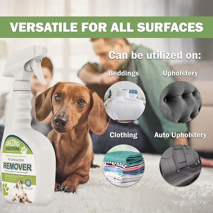 Pet Stain and Odor Remover - Enzyme Cleaner, Pet Urine Odor Eliminator Spray - Floor & Carpet Cleaner Spray, Pet Deodorizers For Home, Fabric Spray W/Fresh, Clean Scent, 32oz Spray