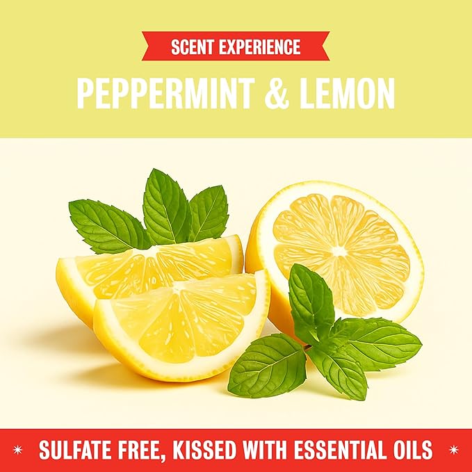 Rebel Green Sparkling Glass Spray - Streak-Free Natural Glass Cleaner for Windows, Mirrors, and Surfaces - Peppermint & Lemon Scent - 80 oz - 2 Pack