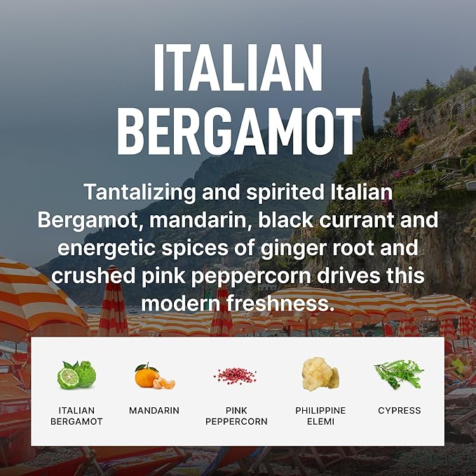 Laundry Sauce - Laundry Fabric Softener (Italian Bergamot) Luxury Fragrance, Softens & Preserves Fabric, Reduces Wrinkles, 19 Fl Oz