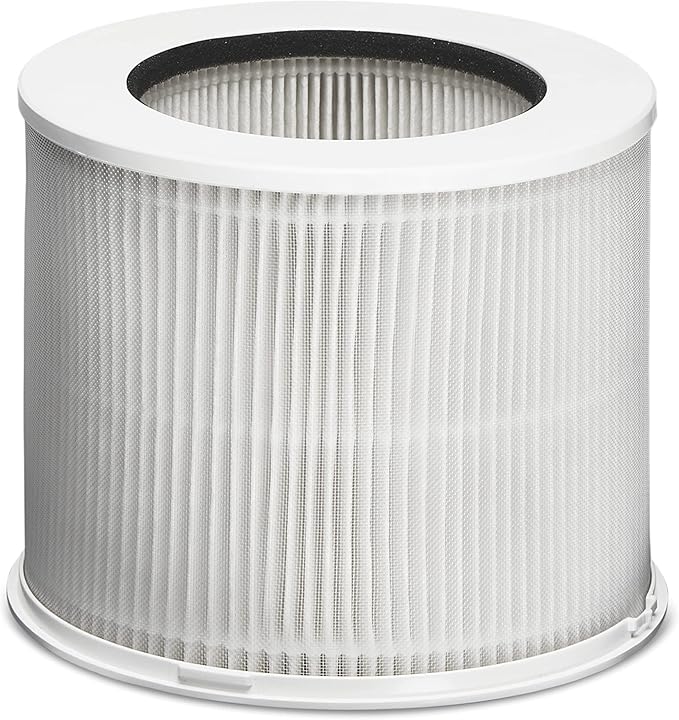Clorox Tabletop Air Purifier True HEPA Replacement Filter, 200 Sq. Ft. Capacity, Removes 99.97% of Allergens up to 0.1 Micron, Compatible with 11020 & 11021, 1 Count (12020)
