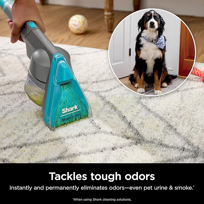 Shark Carpet Xpert Hair Pro with Stain Striker Upright Carpet, Area Rug & Upholstery Cleaner, Carpet Shampooer, 5 Tools, Navy, EX304