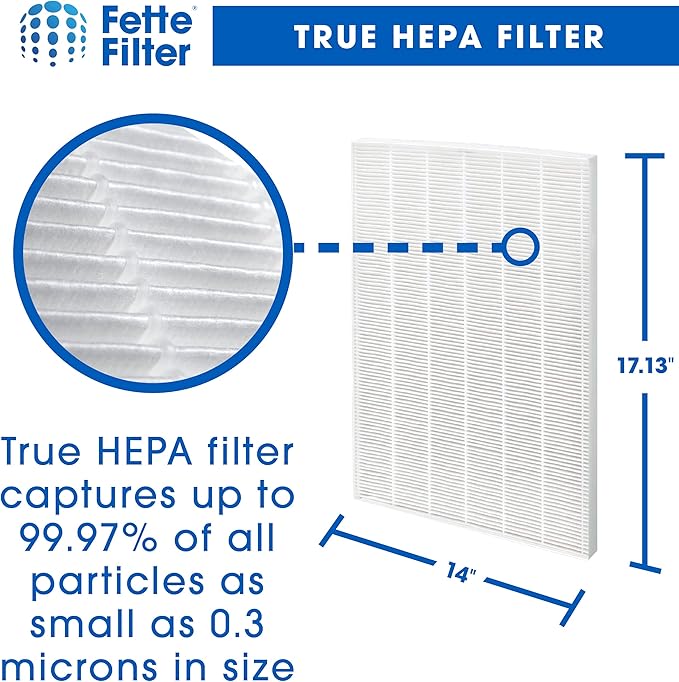 Fette Filter - D360 Premium Replacement Filter D3 Compatible with Winix D360 Air Purifier Part Number 1712-0101-02, 1712010102 Qty 2 and 8 Activated Carbon Filter