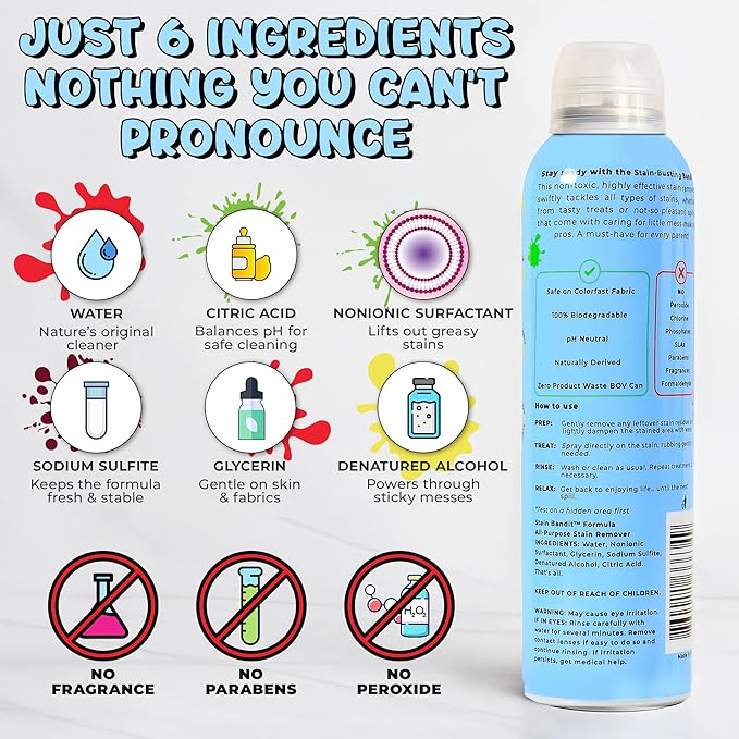 Stain Remover Spray - Non-Toxic, Family Safe Formula - Bag-On-Valve 360 Continuous Spray - Powerful Natural Cleaner for Clothes, Upholstery, Carpet, Car Seats & More - 4.2 oz