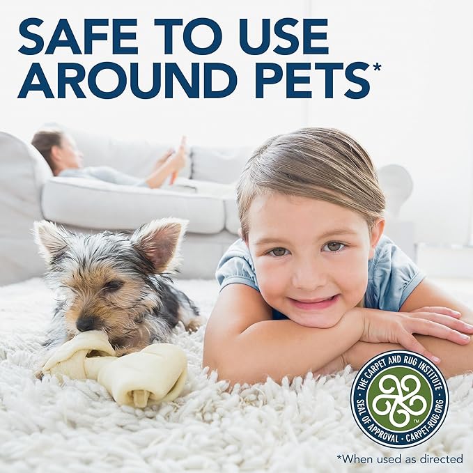 Simple Solution Stain & Odor Eliminator for Pets, Carpet Deodorizer, Enzyme Pet Odor Eliminator for Home, Stain Remover for Cat & Dog Pee, Urine Destroyer, Carpet Cleaner Spray, Spring Breeze, Gallon