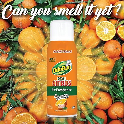 OdoBan Aroma Eliminator Set, Made in the USA, 10 Ounce Toilet Spray 360-Degree Continuous Spray Natural Oil Real Citrus Orange Air Freshener and 14 Ounce Solid Scent Absorber