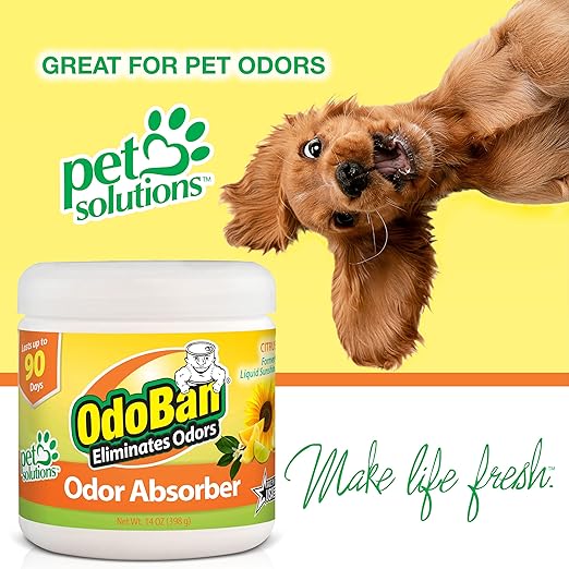 OdoBan Aroma Eliminator Set, Made in the USA, 10 Ounce Toilet Spray 360-Degree Continuous Spray Natural Oil Real Citrus Orange Air Freshener and 14 Ounce Solid Scent Absorber