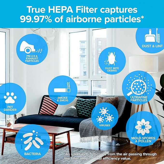 Filtrete F1 Room Air Purifier Filter, True HEPA Premium Allergen, Bacteria, & Virus, 12 in. x 6.75 in., 2-Pack, Works with Devices: FAP-C01BA-G1, FAP-T02WA-G1 and FAP-ST02N