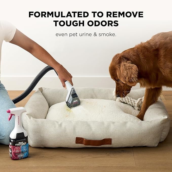 Shark EveryMess Ultra-Powerful 3-in-1 Wet Vac, Dry Vac, & Stain Eliminator with StainForce Technology, Perfect for Homes, Pets, and Cars, 3 Accessories and Cleaning Solution, Gray, VX101