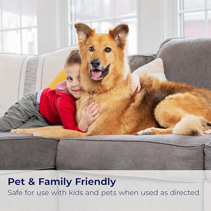 Bissell InstaClean Oxy Pet Spot and Stain Remover with Brush Head, 4 pack, 17409