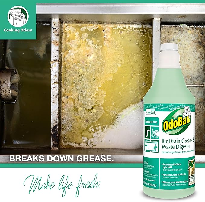 OdoBan Professional Cleaning Ready-to-Use BioDrain Grease and Waste Digester, Made in the USA, Set of 12 Bottles, 32 Ounces Each