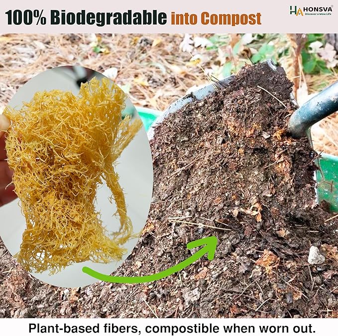 Loofah Natural Kitchen Sponge (5 Pcs), No Scratch Scrubber for Dish Cleaning, 100% Plant Based Vegetable Scrubber, Zero Waste and Eco Friendly Sponge for Kitchen (3 Pcs Oval+2 Pcs Rectangular)