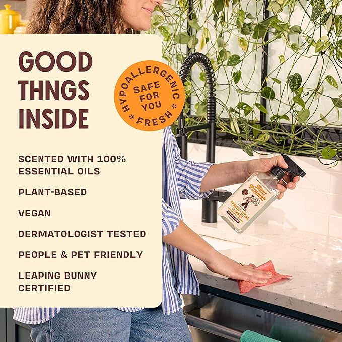 Aunt Fannie's Granite and Stone Cleaner, Plant Based Daily Countertop Spray for Granite, Stone, Marble, Soapstone, Quartz, Slate, Laminate, and other Sealed Surfaces, Bright Lemon Scent, Pack of 1